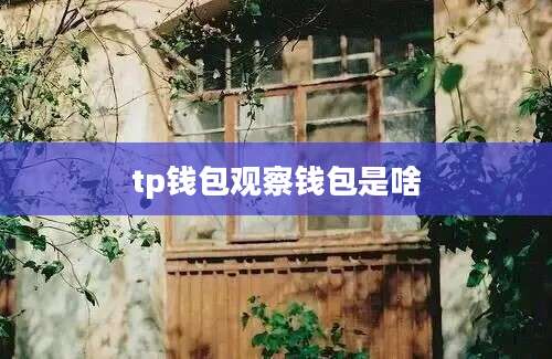 tp钱包观察钱包是啥