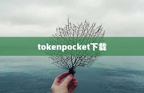 tokenpocket下载