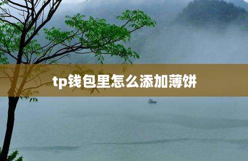 tp钱包里怎么添加薄饼