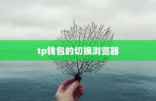 tp钱包的切换浏览器