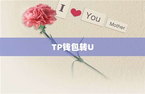 TP钱包转U