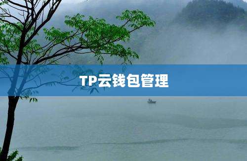 TP云钱包管理