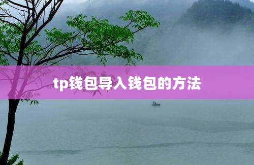 tp钱包导入钱包的方法