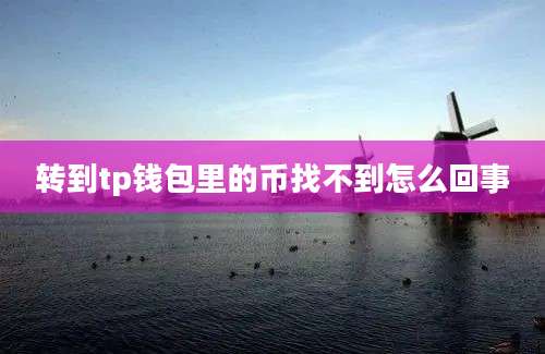 转到tp钱包里的币找不到怎么回事