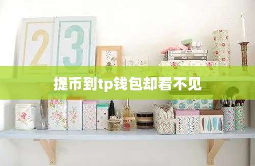提币到tp钱包却看不见