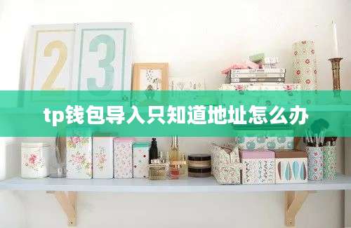 tp钱包导入只知道地址怎么办