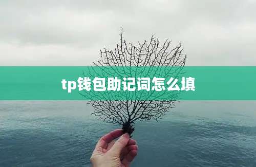 tp钱包助记词怎么填
