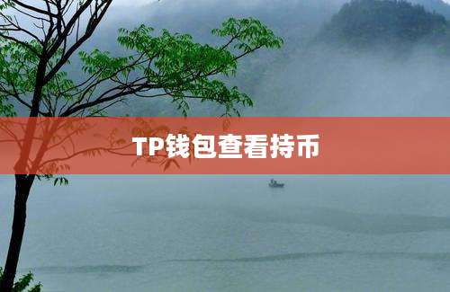 TP钱包查看持币