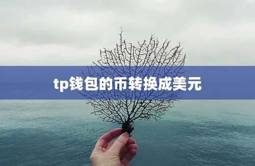 tp钱包的币转换成美元