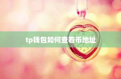 tp钱包如何查看币地址