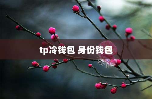 tp冷钱包 身份钱包