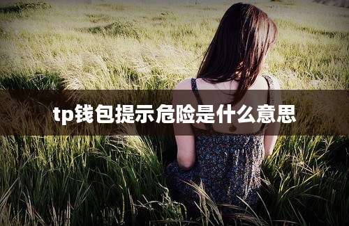 tp钱包提示危险是什么意思
