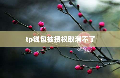 tp钱包被授权取消不了