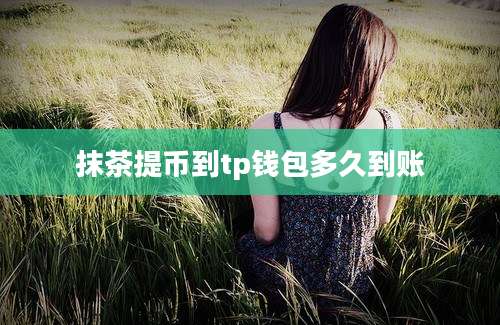 抹茶提币到tp钱包多久到账