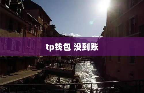tp钱包 没到账