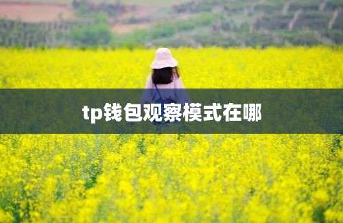 tp钱包观察模式在哪