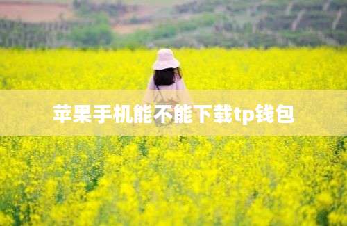 苹果手机能不能下载tp钱包
