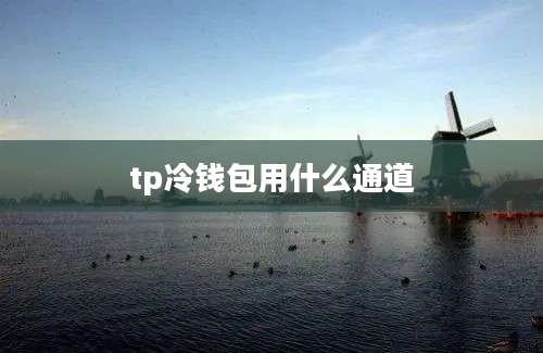 tp冷钱包用什么通道