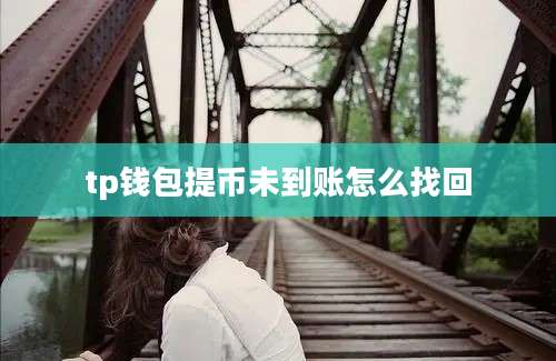 tp钱包提币未到账怎么找回