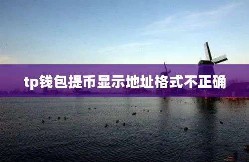 tp钱包提币显示地址格式不正确