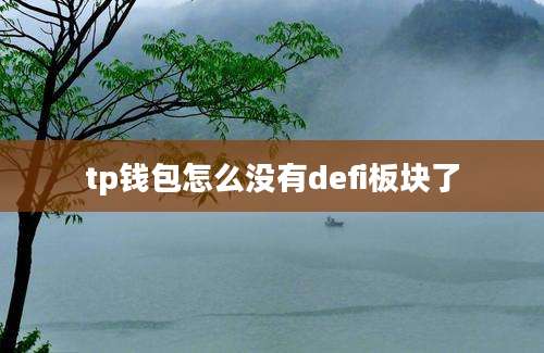 tp钱包怎么没有defi板块了