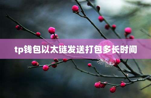 tp钱包以太链发送打包多长时间