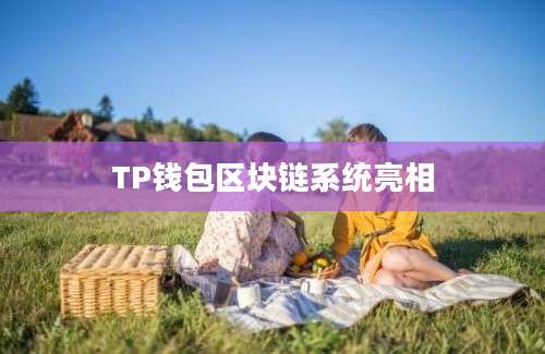 TP钱包区块链系统亮相