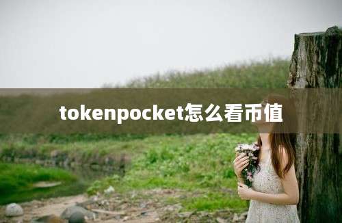 tokenpocket怎么看币值