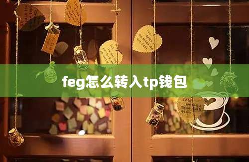 feg怎么转入tp钱包