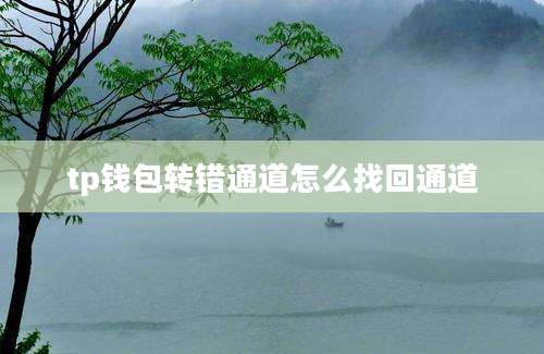 tp钱包转错通道怎么找回通道
