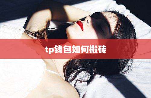 tp钱包如何搬砖