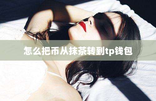 怎么把币从抹茶转到tp钱包