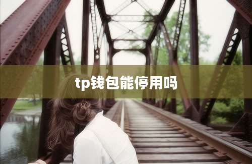 tp钱包能停用吗