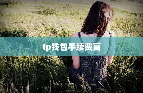 tp钱包手续费高