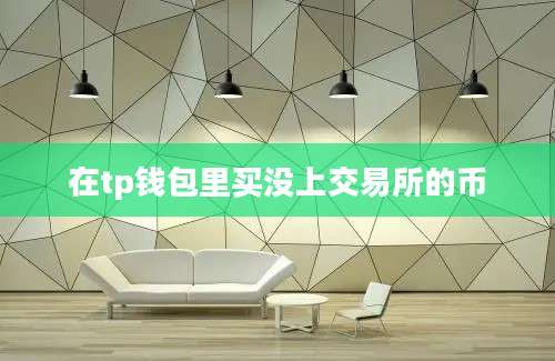 在tp钱包里买没上交易所的币