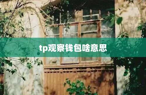 tp观察钱包啥意思