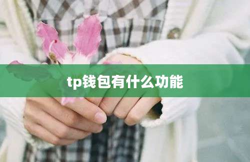 tp钱包有什么功能
