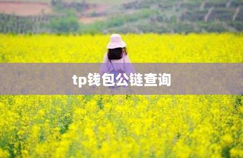 tp钱包公链查询