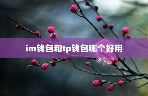 im钱包和tp钱包哪个好用