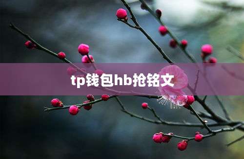 tp钱包hb抢铭文