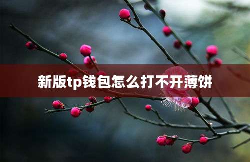 新版tp钱包怎么打不开薄饼
