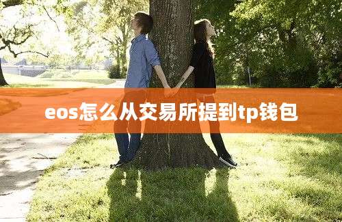 eos怎么从交易所提到tp钱包