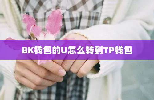 BK钱包的U怎么转到TP钱包