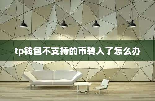 tp钱包不支持的币转入了怎么办