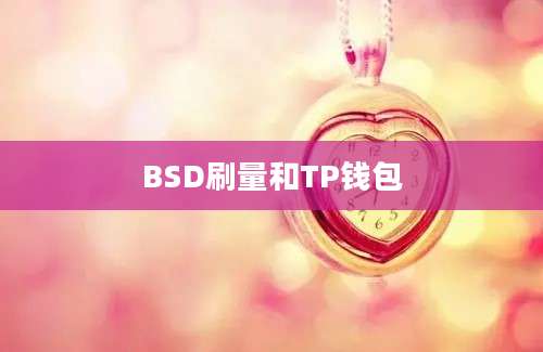BSD刷量和TP钱包