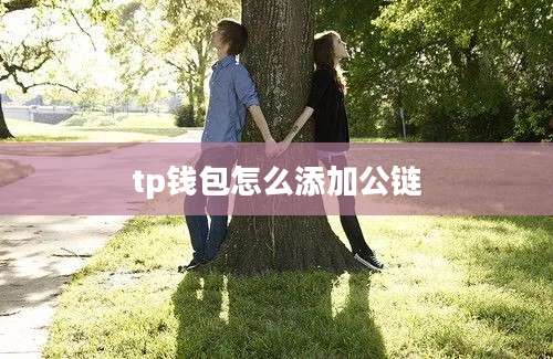 tp钱包怎么添加公链