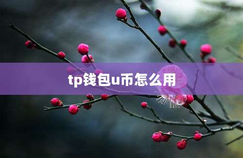 tp钱包u币怎么用