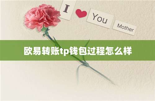 欧易转账tp钱包过程怎么样