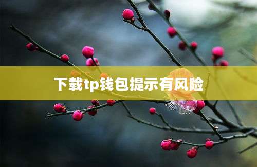下载tp钱包提示有风险