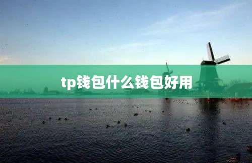 tp钱包什么钱包好用